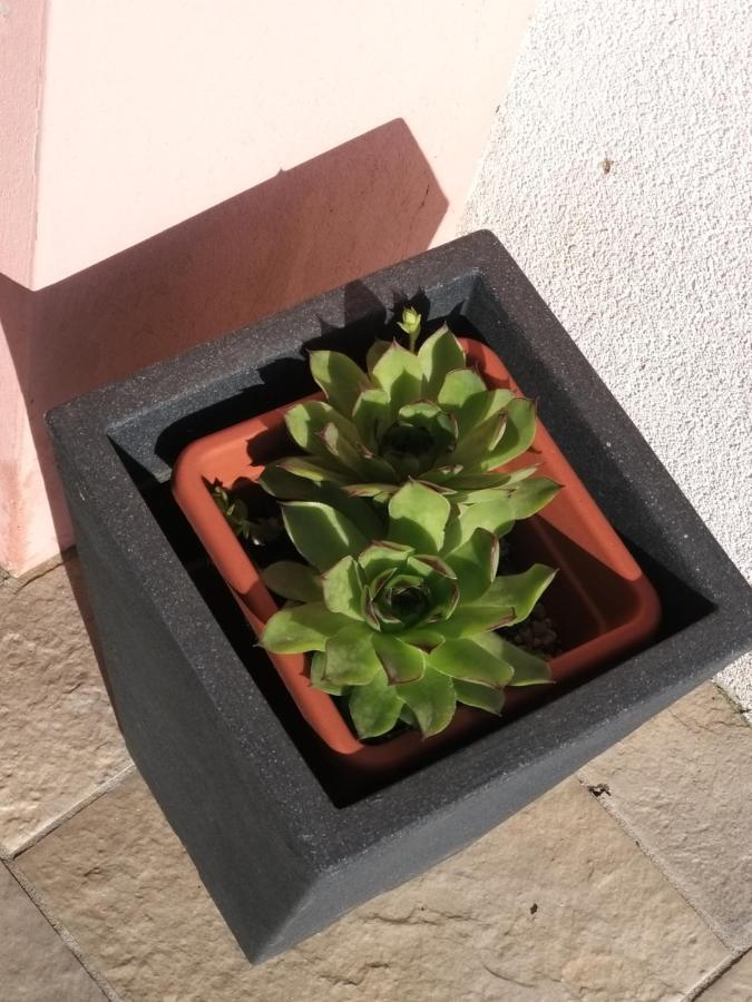 Guest House Zohil Ρόβινι Εξωτερικό φωτογραφία