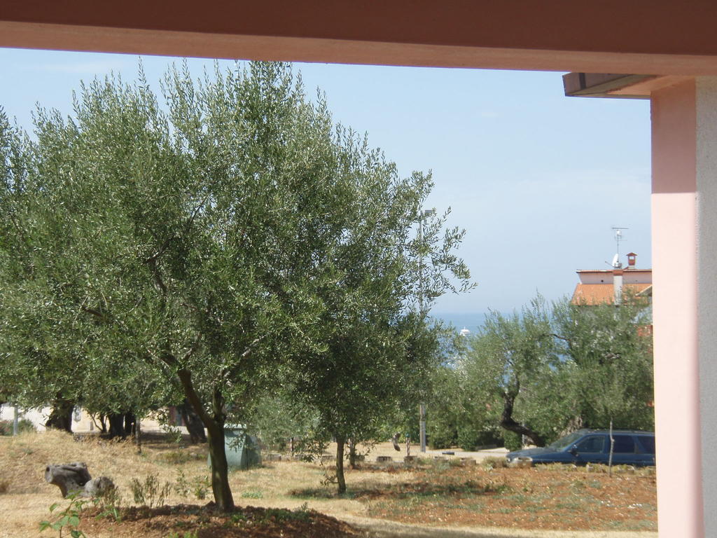 Guest House Zohil Ρόβινι Δωμάτιο φωτογραφία